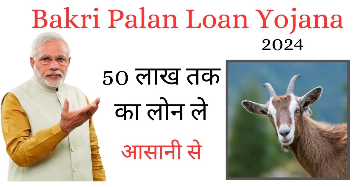 Govt. Bakri Palan Loan Yojana 2024 सबसे सस्ता, सिर्फ 5 Min. में ले।